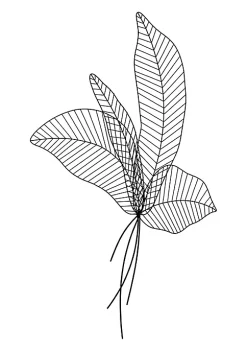 Zuo Modern Riversedge Wall Decor