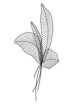 Zuo Modern Riversedge Wall Decor -Zuo Modern Sales Belk 1094